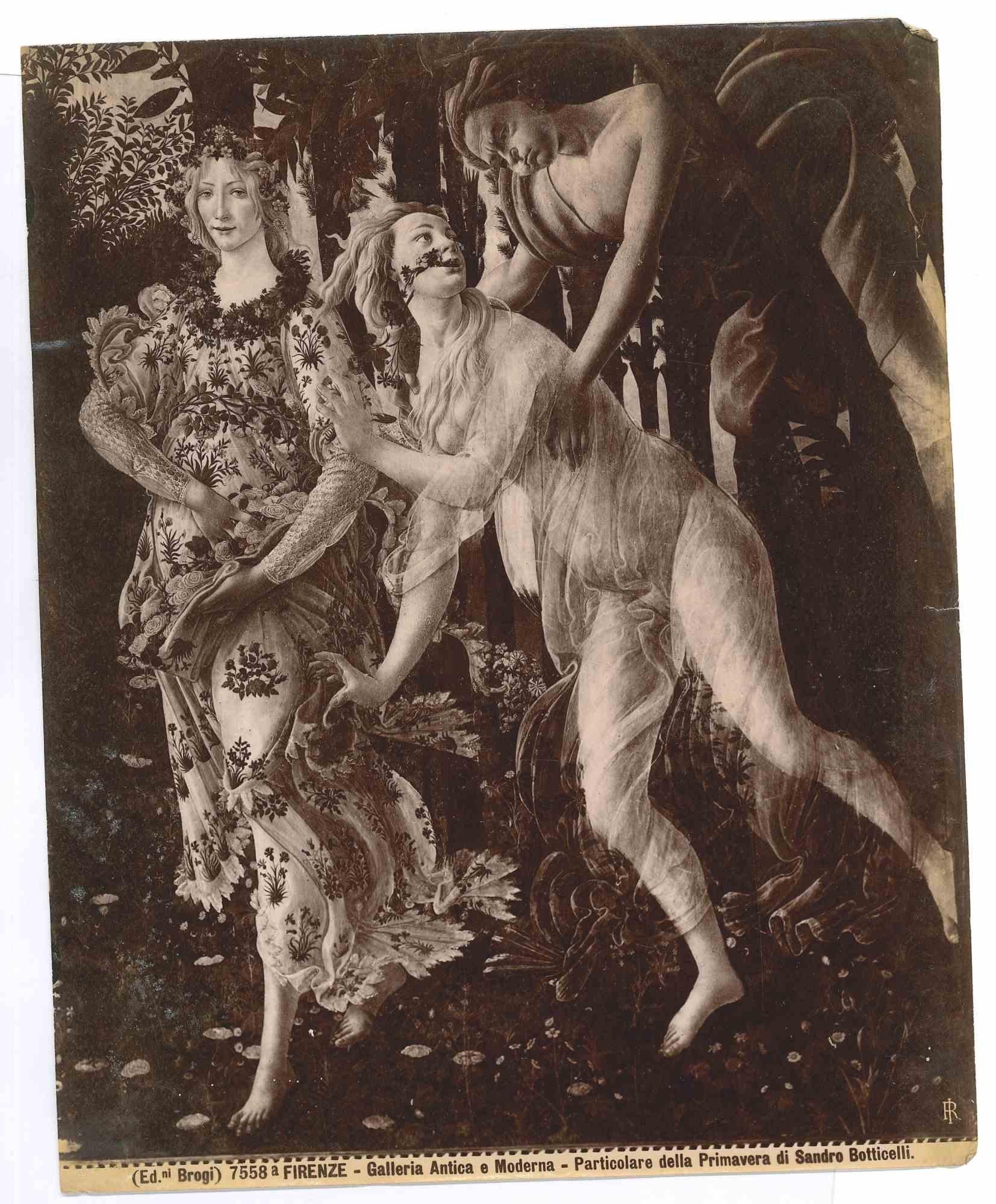 The Spring,  Gallery of Florence - Vintage Photo - Early 20th century