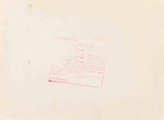 The Swamp Landascape - Vintage Photograph - 1970s