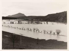 The Swamp Landascape - Vintage Photograph - 1970s
