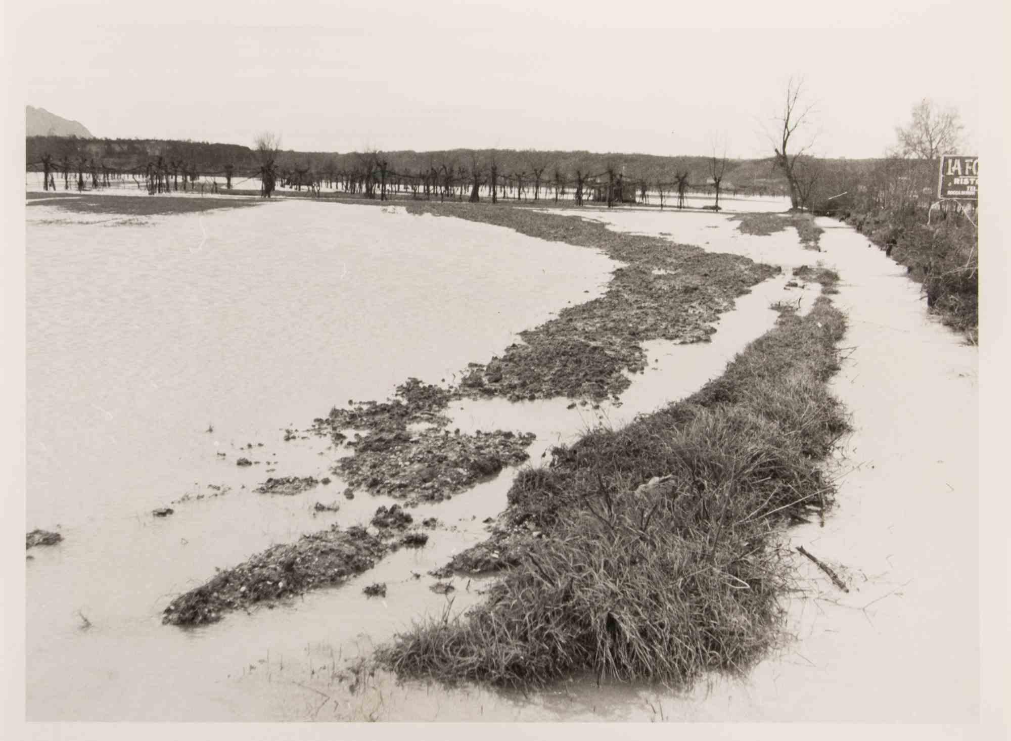 Unknown Landscape Photograph – The Swamp Landascape - Vintage-Fotografie - 1970er Jahre