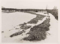 The Swamp Landascape - Vintage Photograph - 1970s