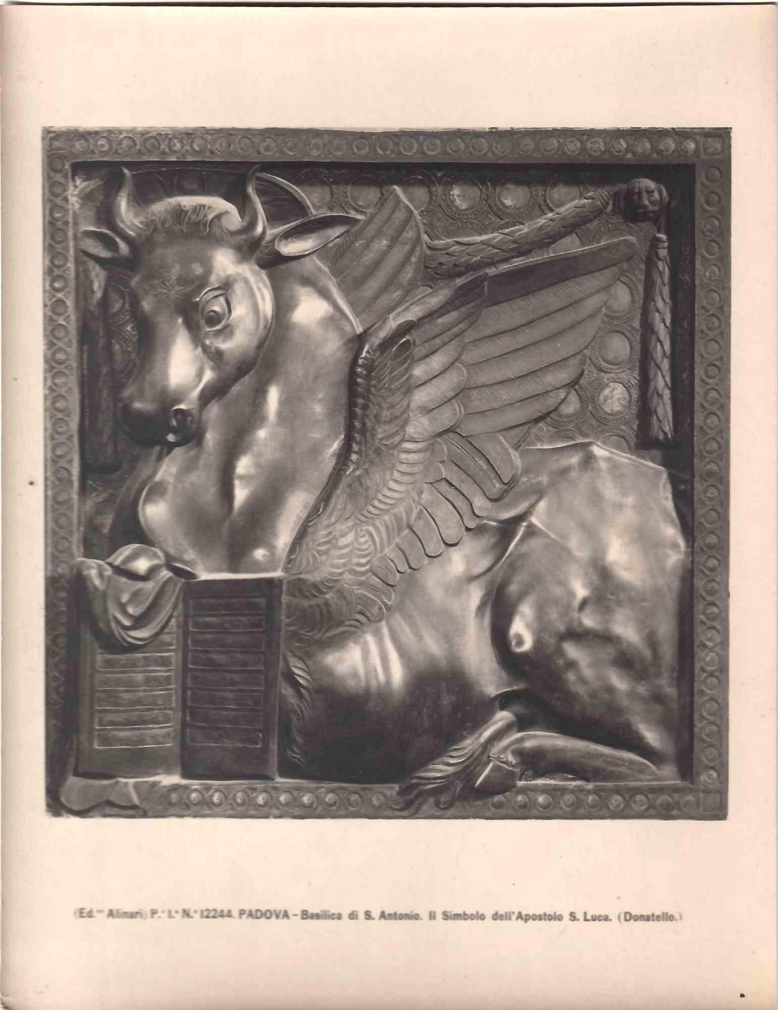 Unknown Black and White Photograph - The Symbol of the Apostle St. Luke by Donatello - Early 20th Century