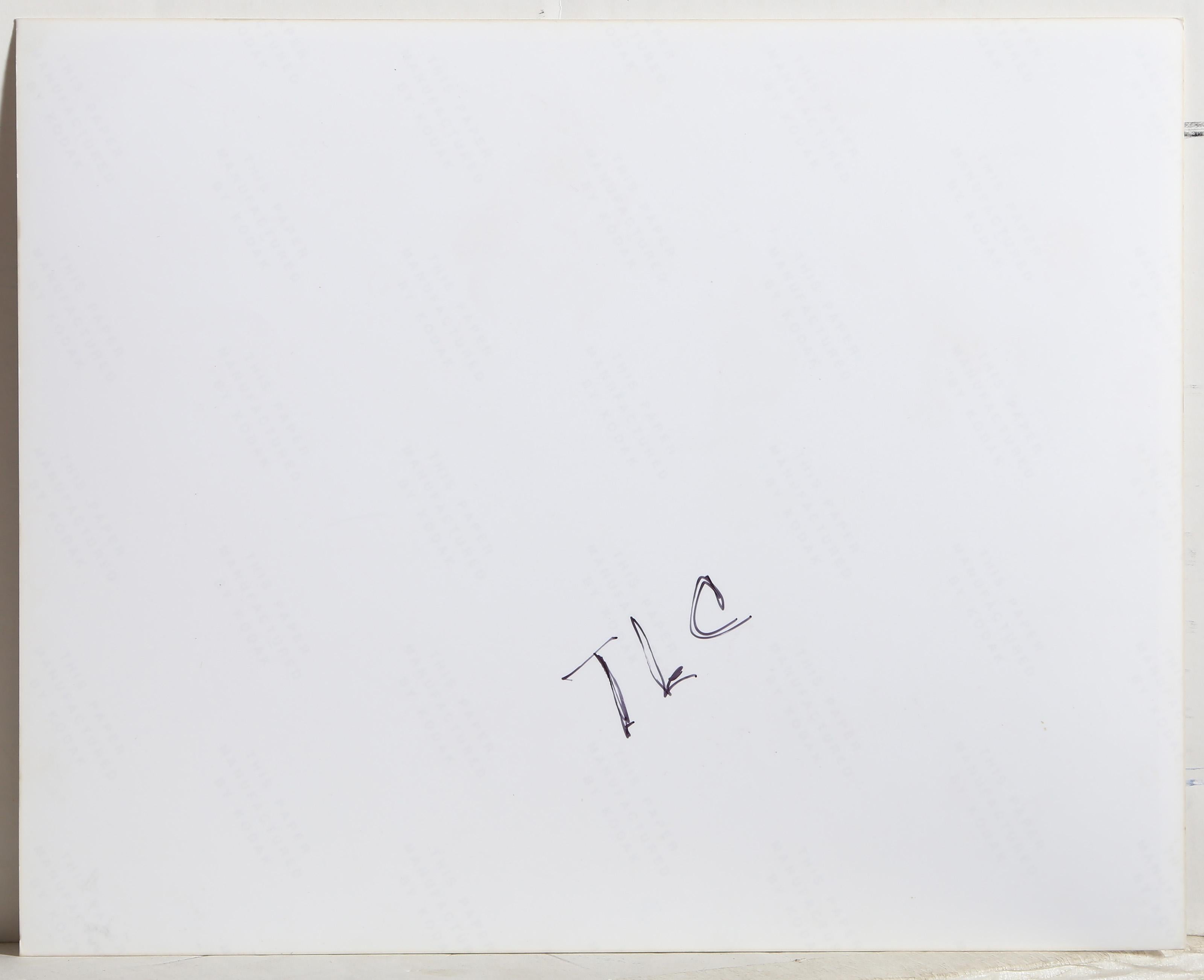TLC, estampe contemporaine à la gélatine d'argent de David Ogburn en vente 3