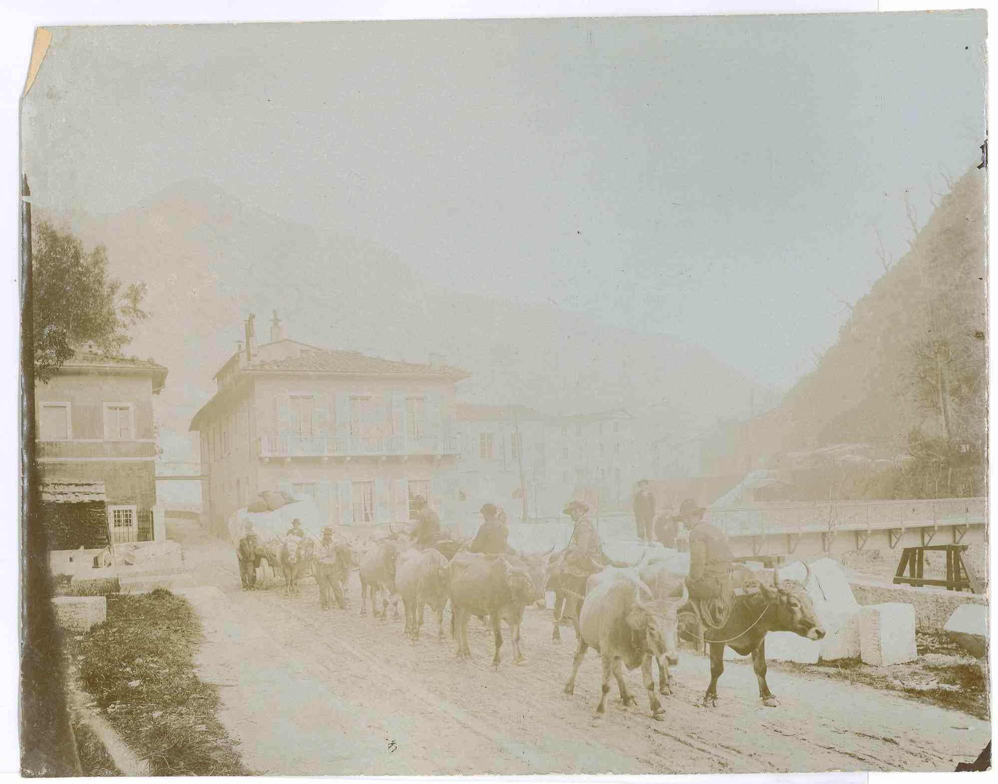 Transportation of Marble Blocks - Vintage Photo - 1910s