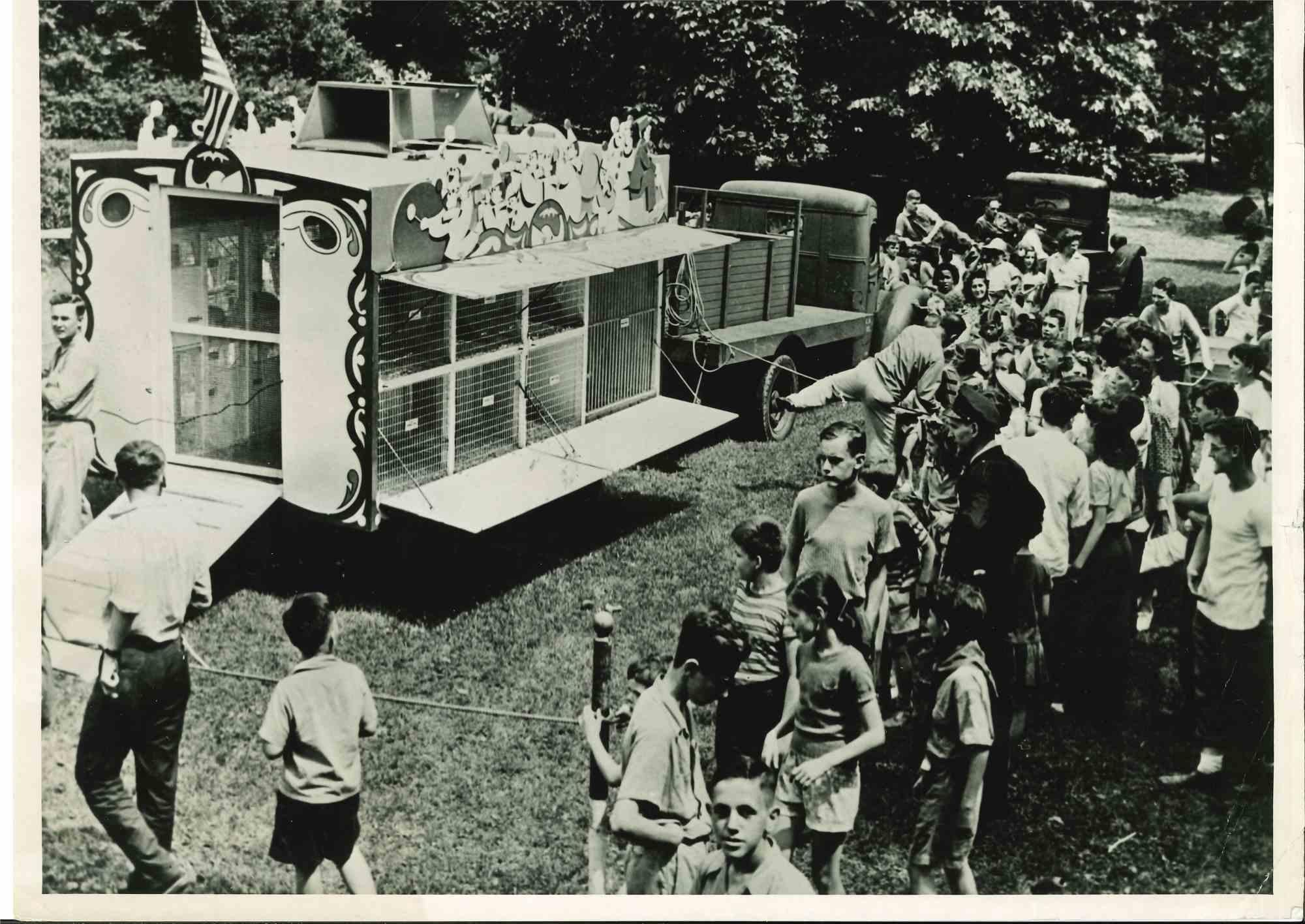 Zoo de voyage - Photographie vintage américaine - Milieu du XXe siècle
