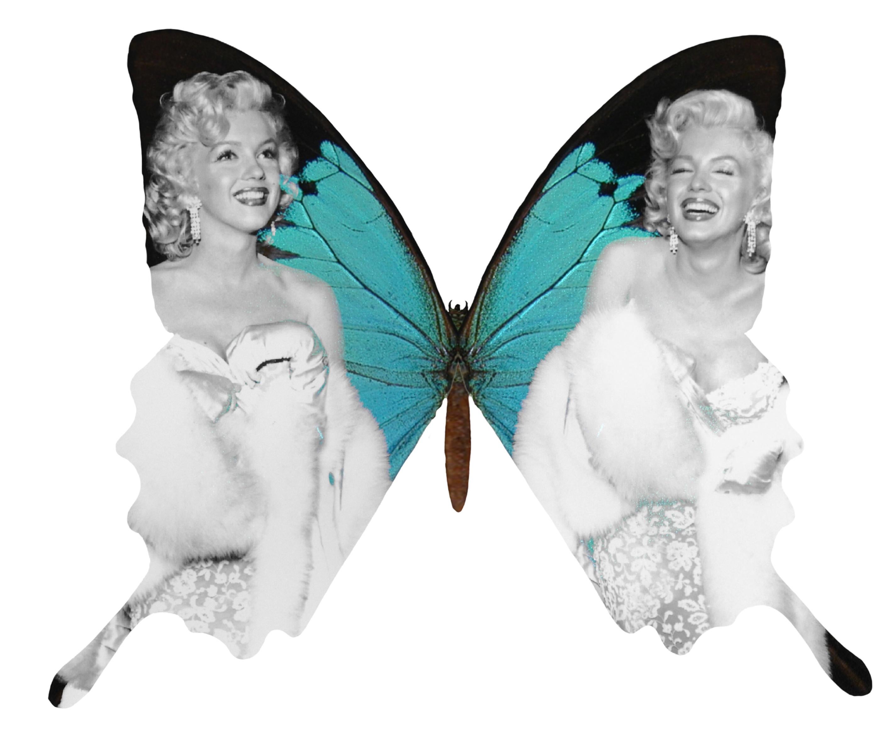Give Me Butterflies
