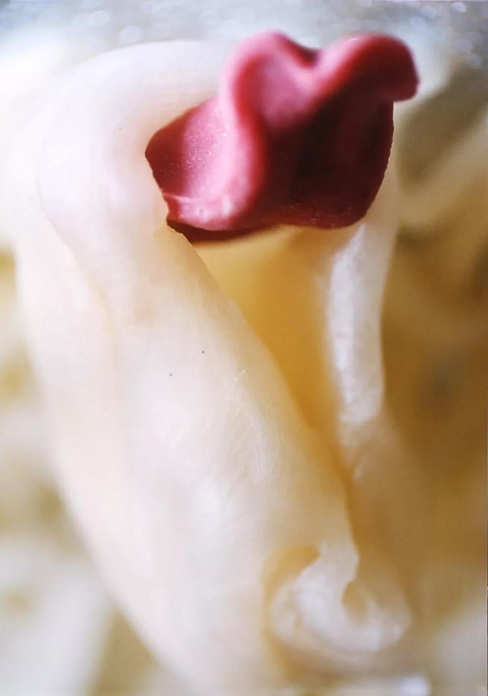 Unknown Color Photograph – Untitled (Tongue, Warm, Nahaufnahme, Weich)
