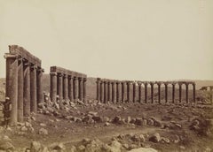 Antique V&A Museum London 'Colonnade of the Forum Gerasa'