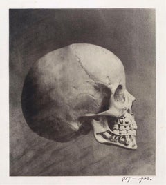 V&A Museum London Skull