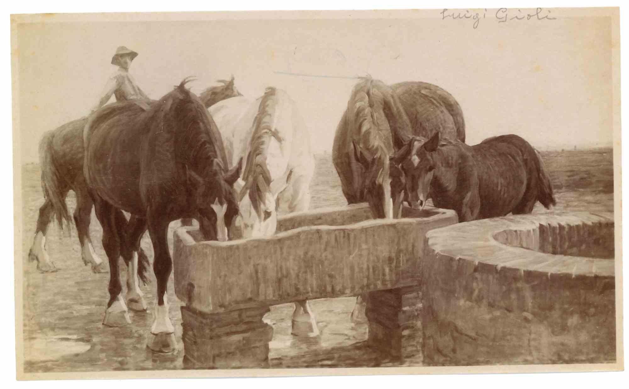 Photo de peinture vintage de F. Gioli - Début du 20e siècle