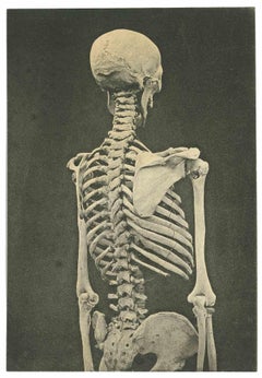 Photo ancienne - Skeleton - Début du 20ème siècle