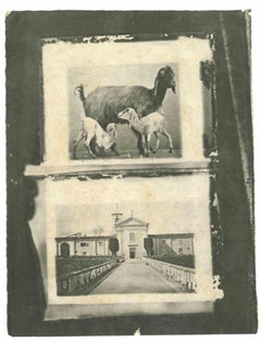 Fotografías antiguas - Principios del siglo XX