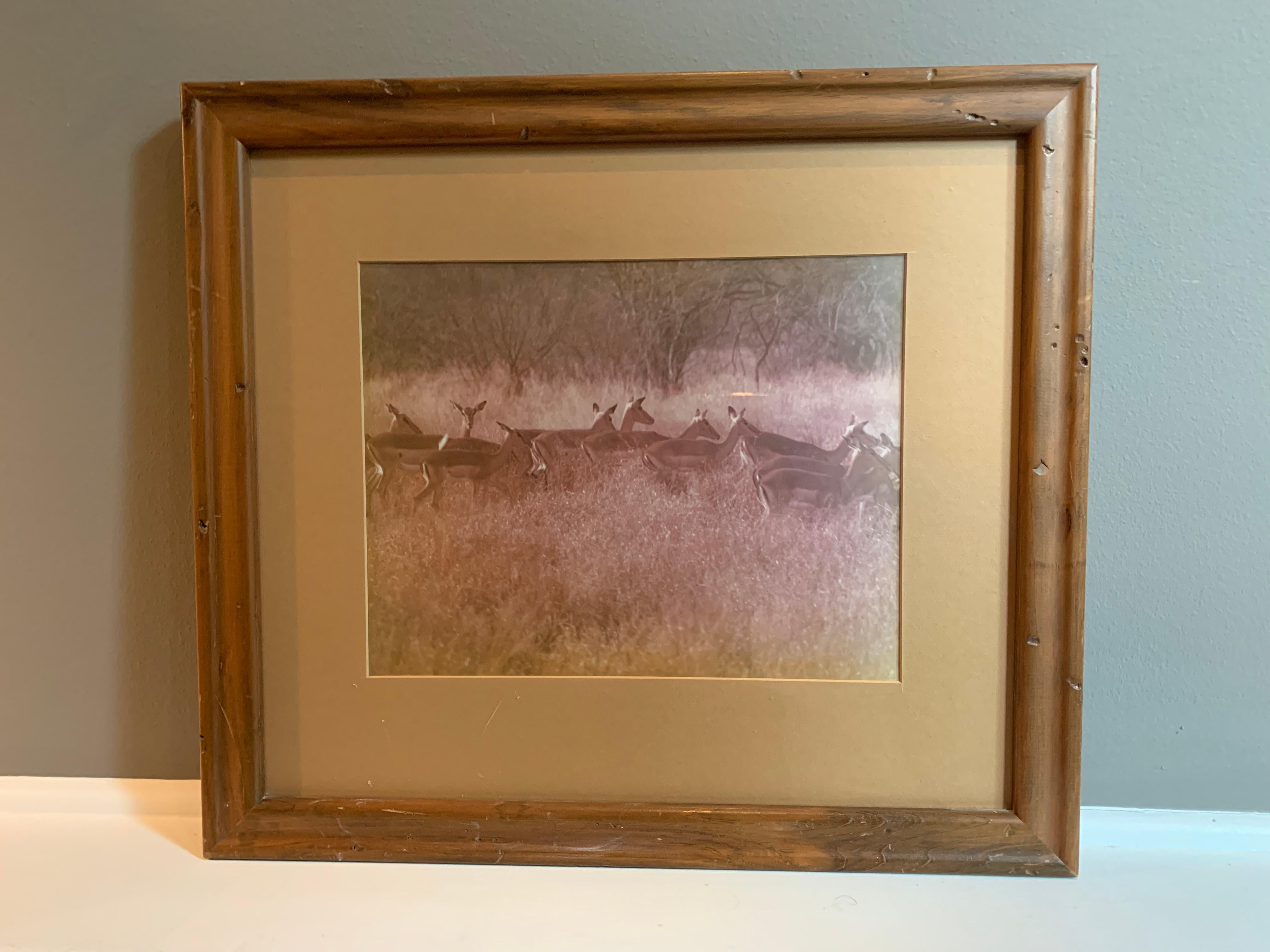 Color  Photograph Antelope 
 Neutral earth tones 
rustic wood frame 