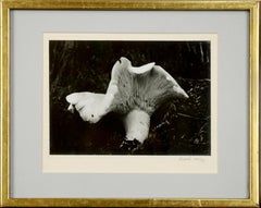 Fotografía en blanco y negro