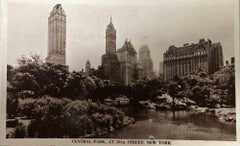 Vintage View of Central Park-New York - Vintage Photograph - Early 20th century