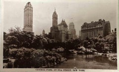 Vue vintage de Central Park-New York - Photographie vintage - Début du 20e siècle