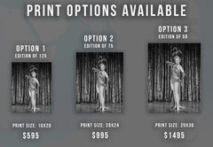 Virginia Mayo Showgirl Fine Art Print