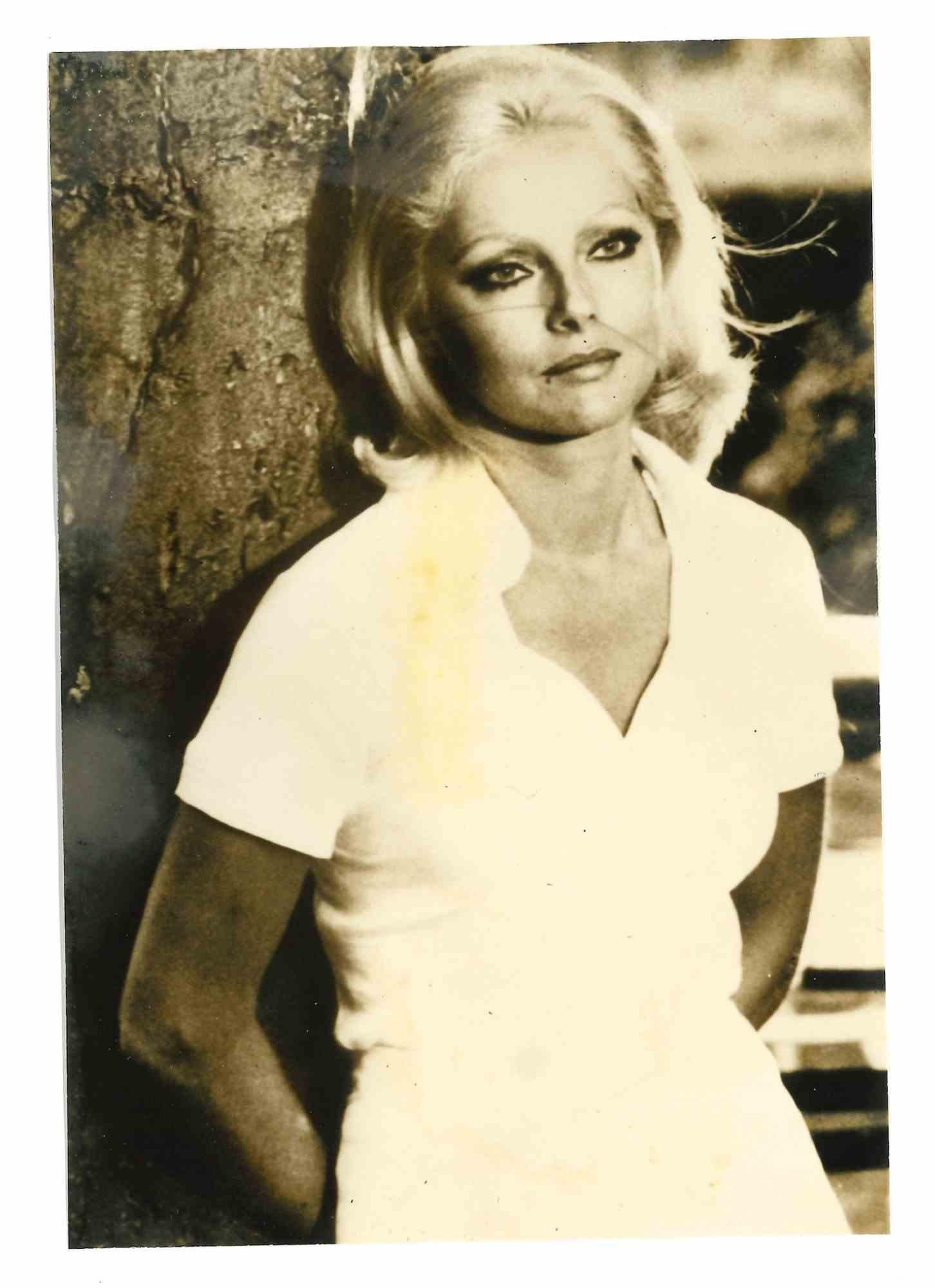 Portrait Photograph di Unknown - Virna Lisi - Anni '60