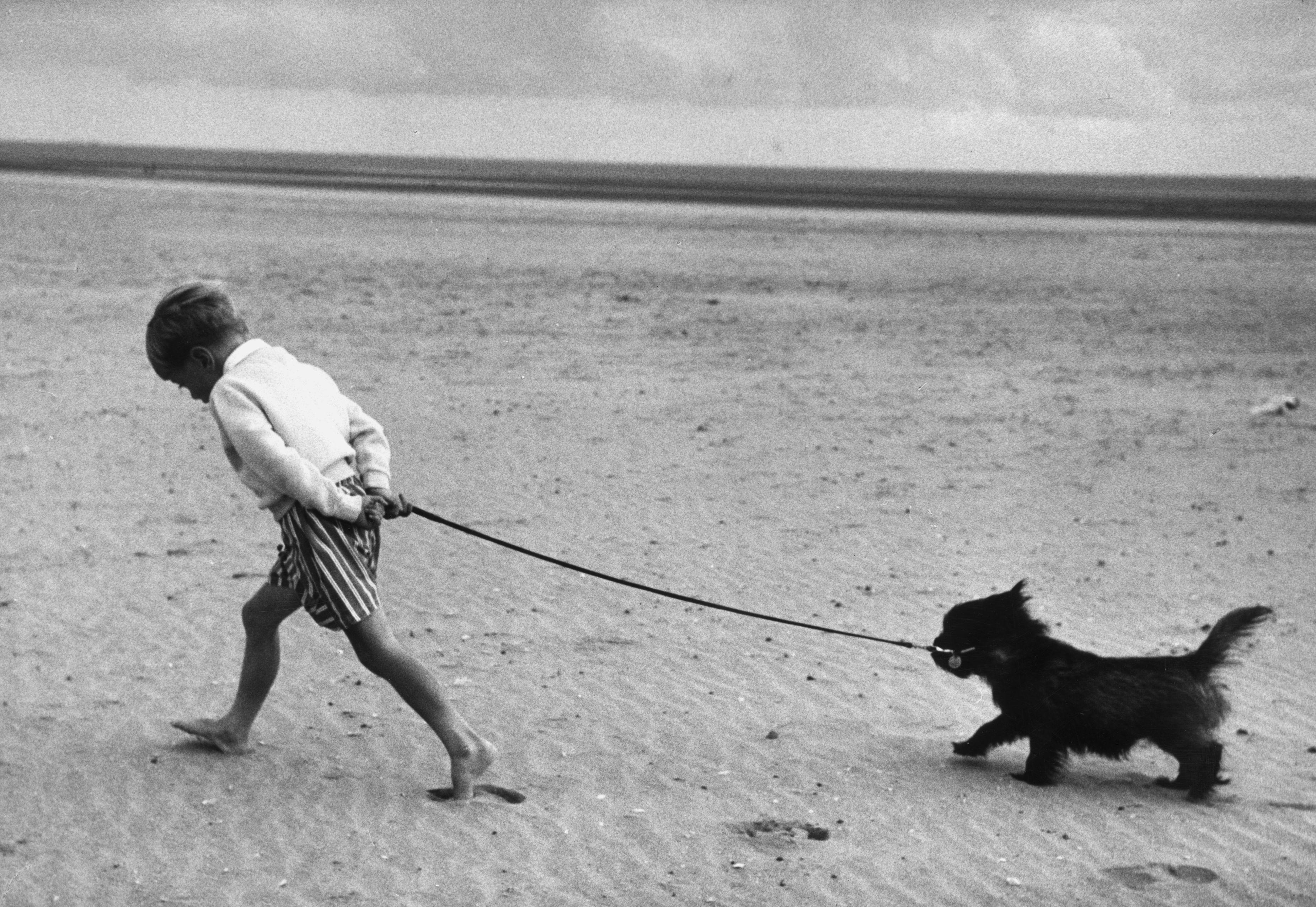 Walking The Dog (1959) - Silver Gelatin Fibre Print