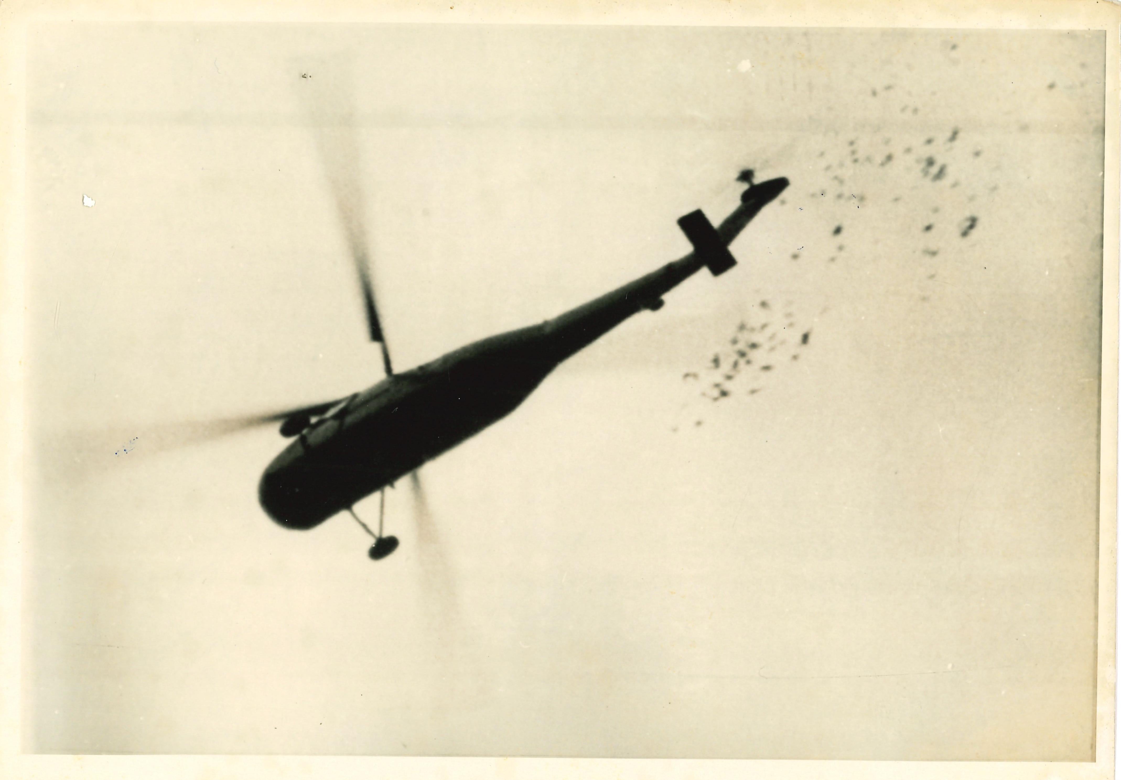 Unknown Figurative Photograph - War in Algeria - Historical Photo - 1960s