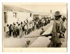 Vintage War in Algeria - Prisoners - Historical Photo  - 1960s