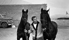 William Shatner et ses étalons