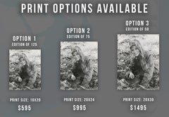 Young Brigitte Bardot Smiling in the Grass Fine Art Print