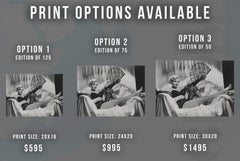 Zsa Zsa Gabor in Lingerie with Fan Fine Art Print