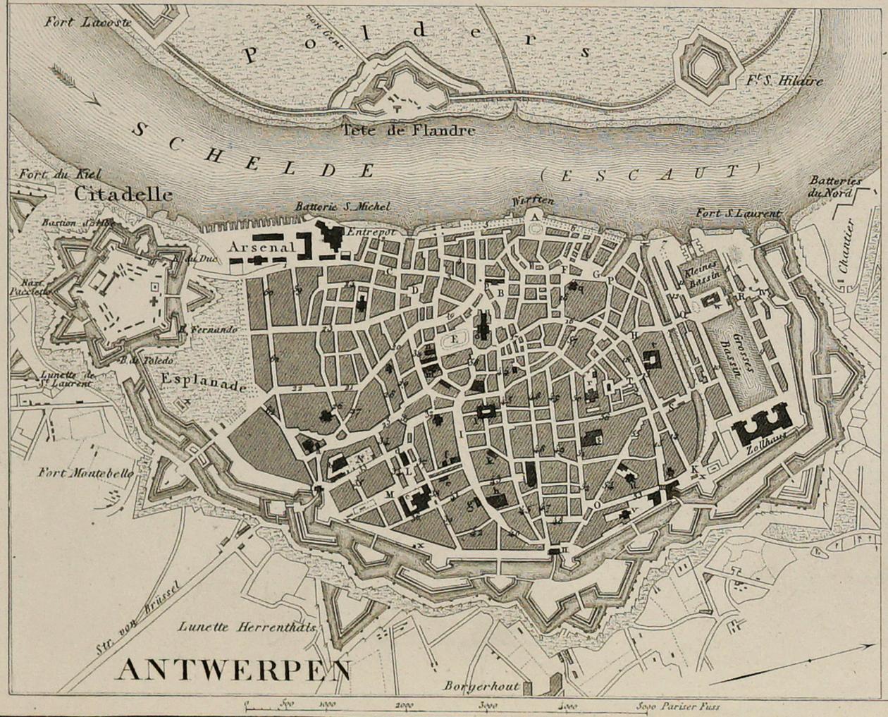 1880 Map of Copenhagen, Stockholm, Antwerp, and Amsterdam - Realist Print by Unknown