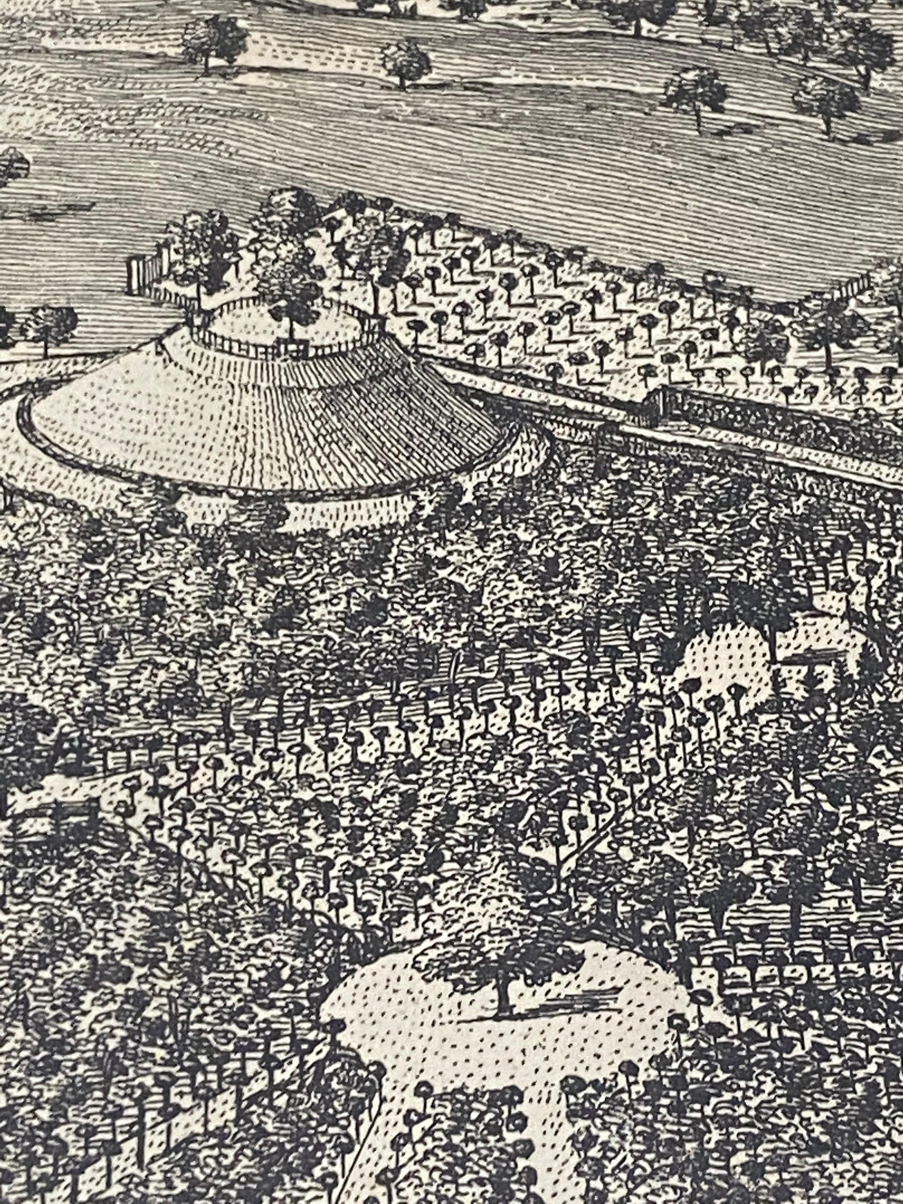 Gravure du 18e siècle « Birdeye View of New Park in Surrey » (Vue d'oiseau de New Park dans le Surrey) vers 1724 en vente 9