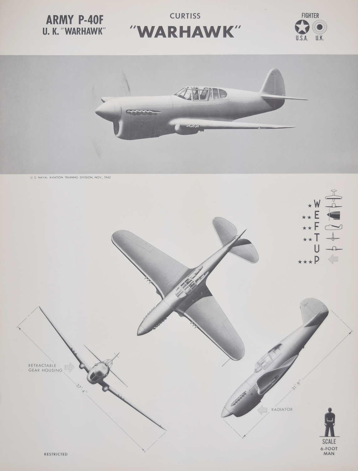 1942 Curtiss P-40 "Warhawk" fighter plane aeroplane identification poster WW2 - Print by Unknown