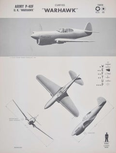 Affiche d'identification d'avions de chasseur Curtiss P-40 « Warhawk » de 1942, seconde guerre mondiale