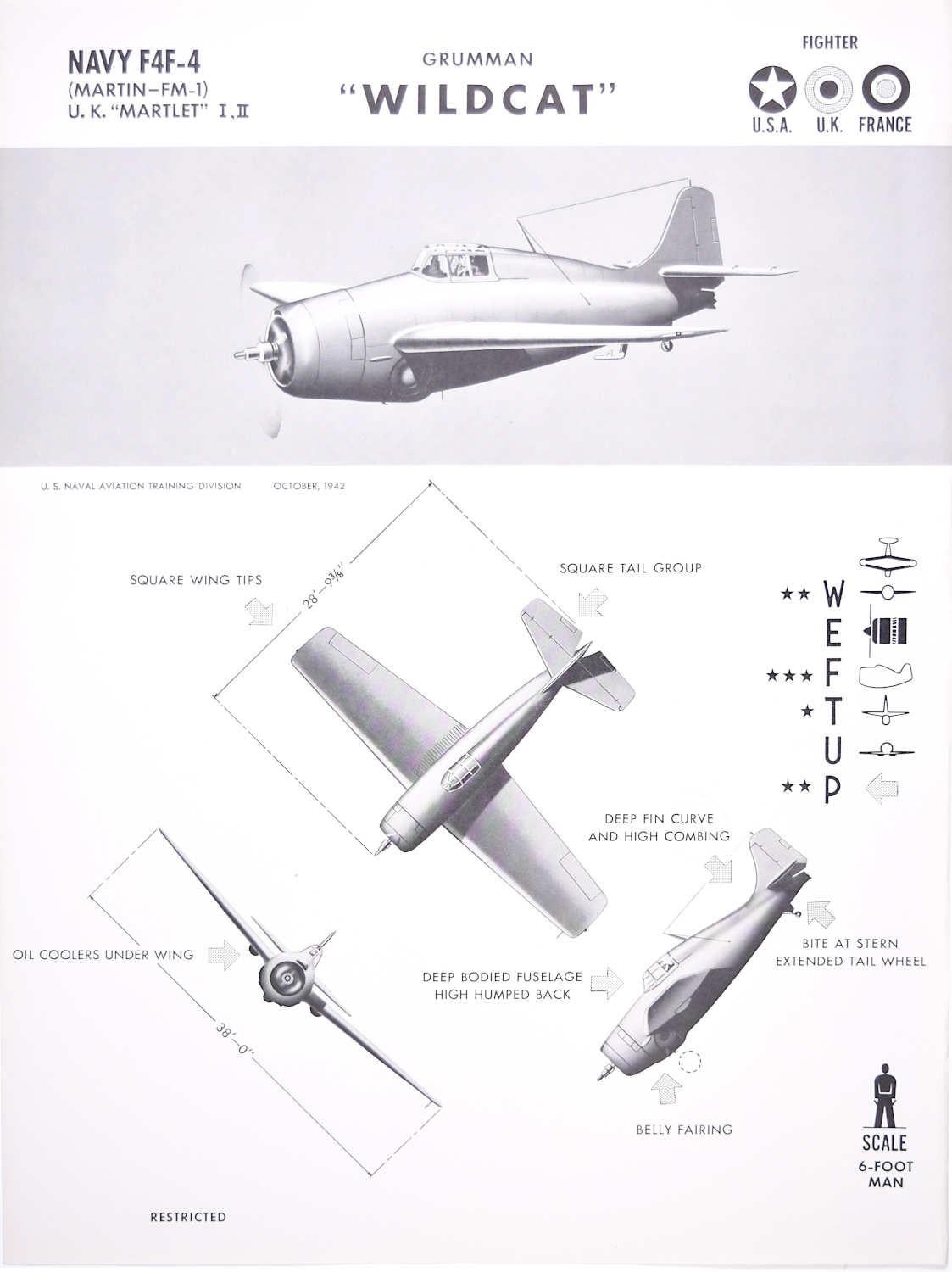 Affiche d'identification d'avion de chasseur Grumman « Wildcat » de 1942 pour la Seconde Guerre mondiale - Print de Unknown