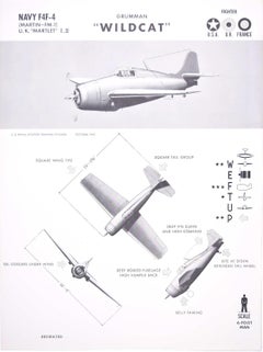 Vintage 1942 Grumman "Wildcat" fighter aeroplane identification poster WW2