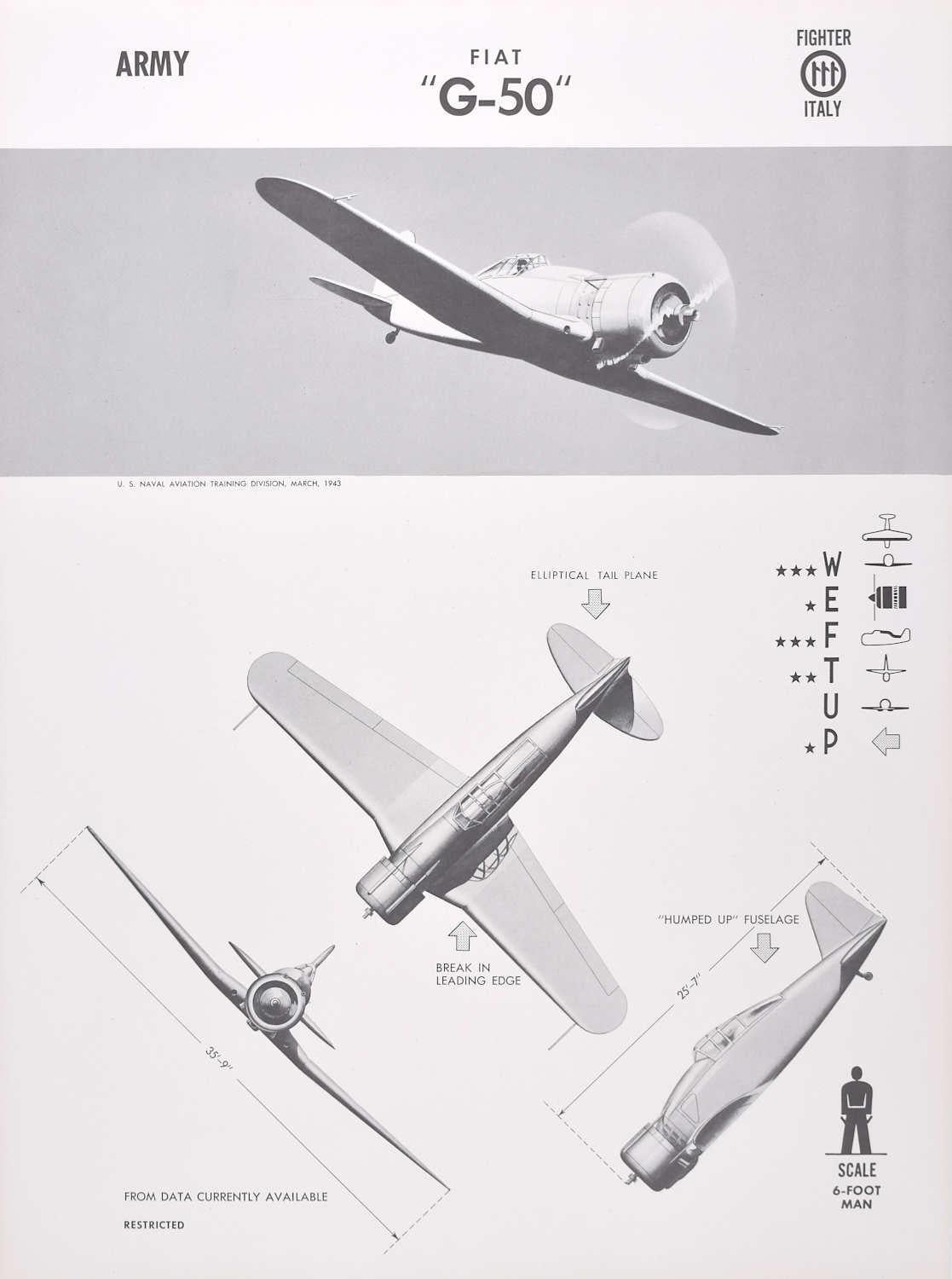 1943 Fiat "G-50" Italian fighter plane identification poster WW2 - Print by Unknown
