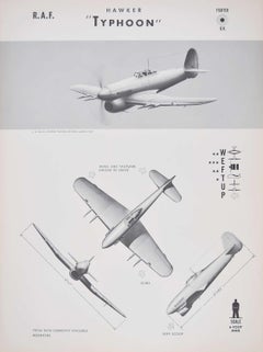 Vintage 1943 Royal Air Force Hawker Typhoon aeroplane recognition poster pub. US Navy
