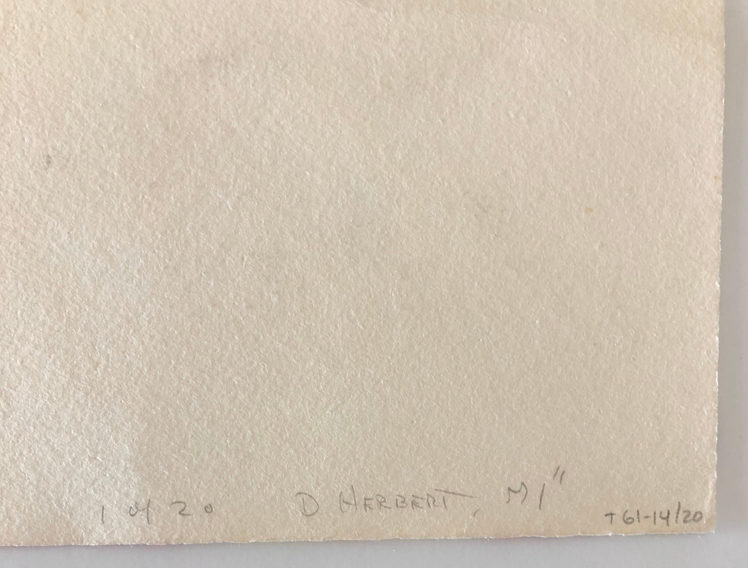 Verso handsigniert D. Herbert und nummeriert 1 von 20 (möglicherweise Don Herbert)