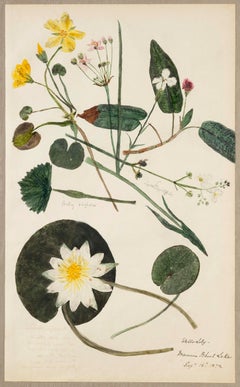 19th Century Hand Colored Nature Print - 13