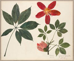 19th Century Hand Colored Nature Print - 3