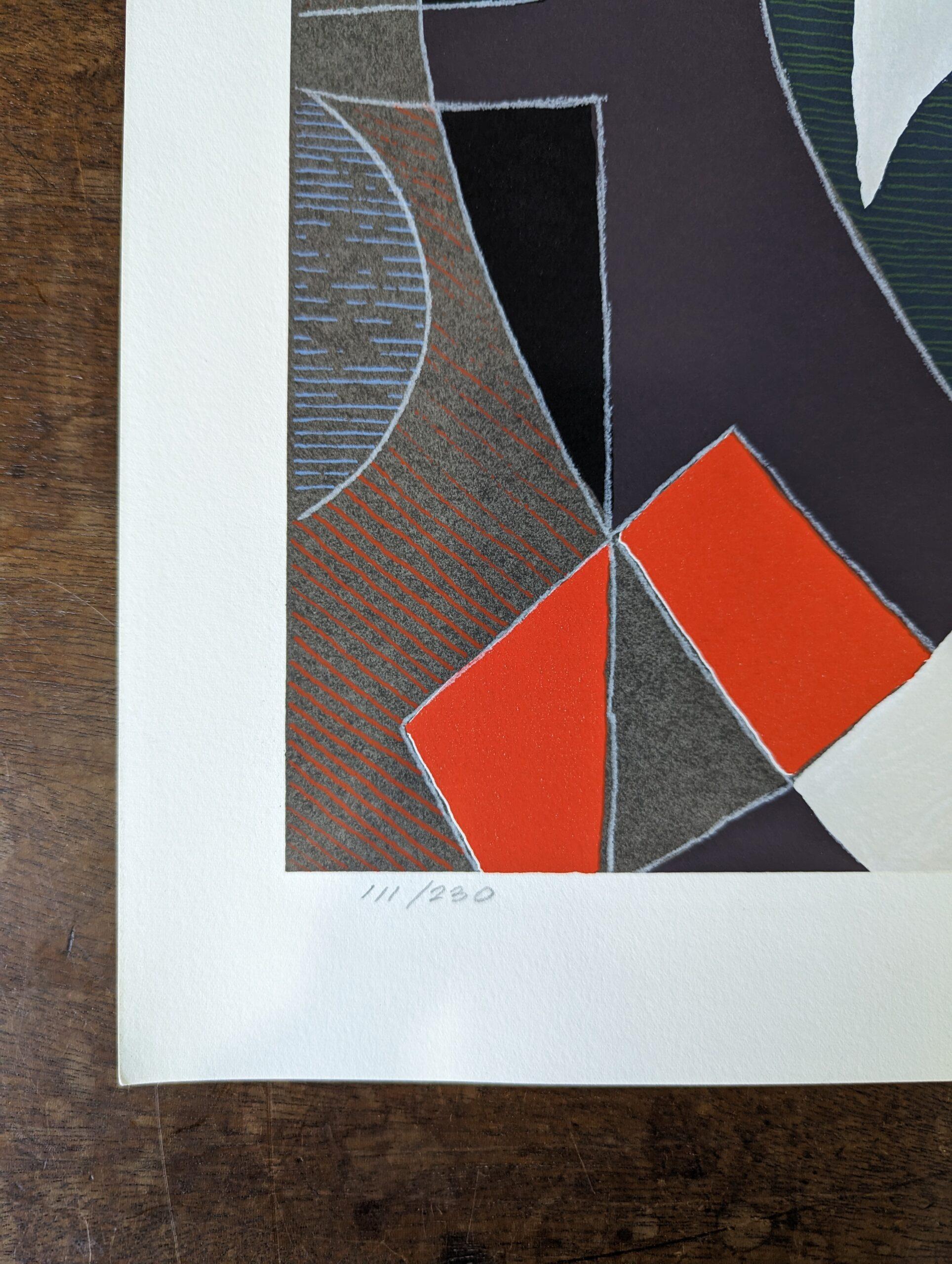 20th Century Abstract Signed Lithograph by Mary Anne Rose - Colour Composition For Sale 1