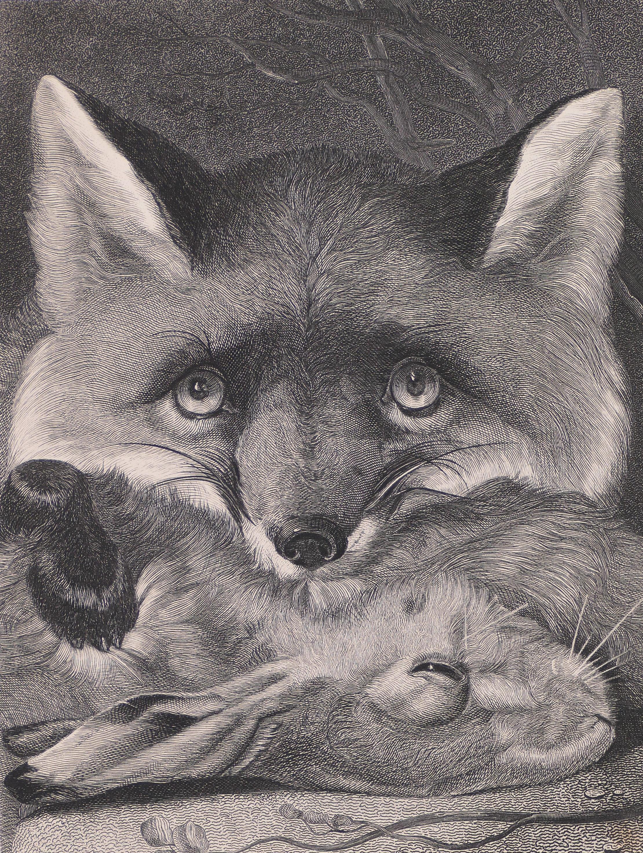 A Fox with its Prey - Original Lithograph - Late 19th Century