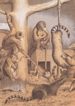 A Group of Monkeys - Original Lithograph - 1866