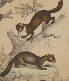 A Hunting Scene  - Original Lithograph - Late 19th Century