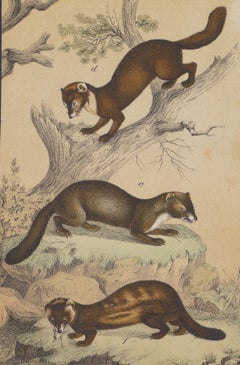 Une scène de chasse  - Lithographie d'origine - Fin du XIXe siècle