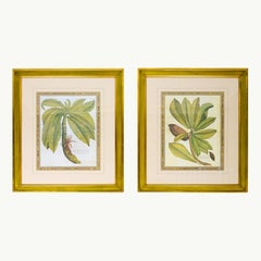 A Large Pair of Decorative Botanical Prints