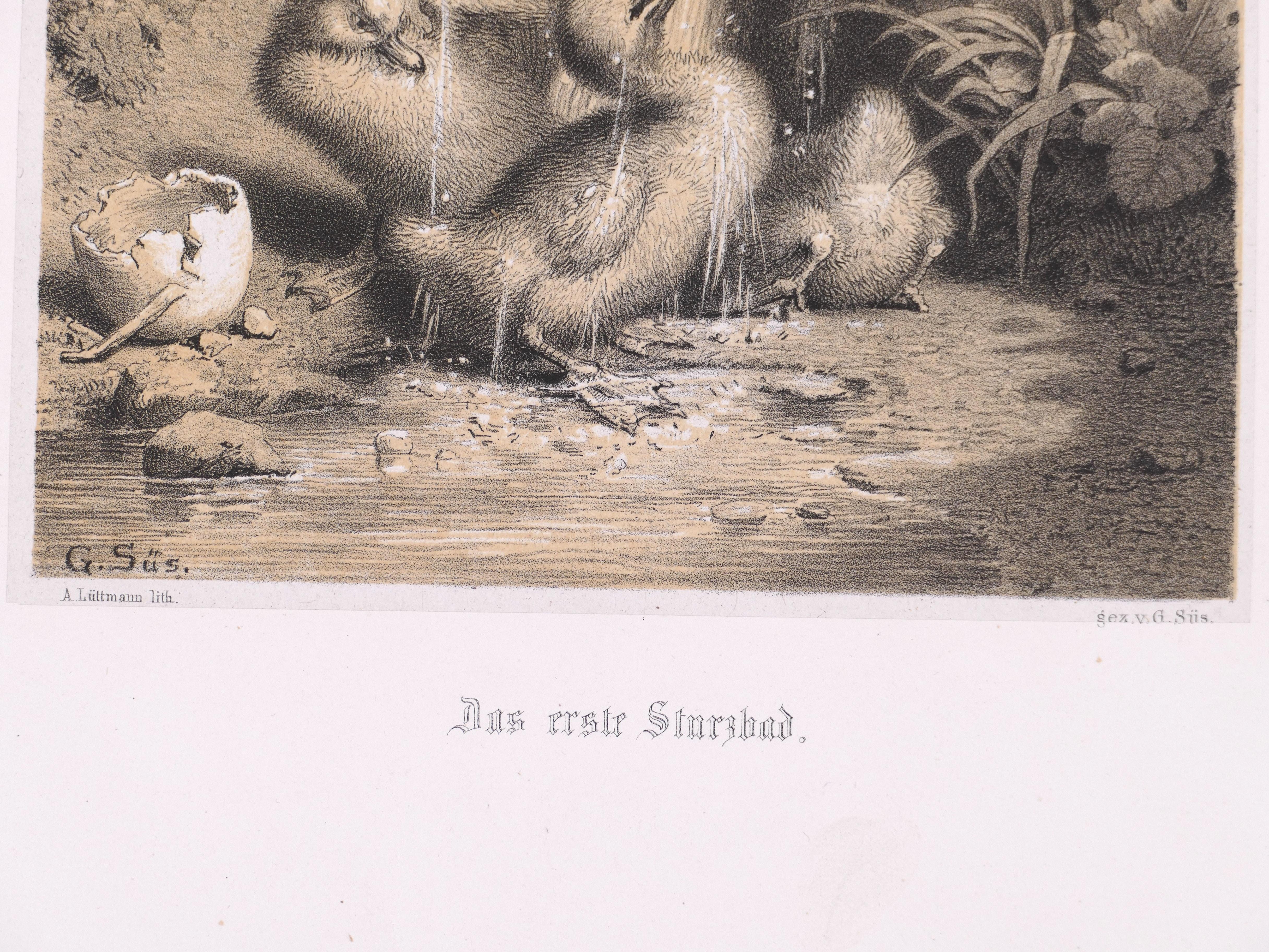 A Little Duckling - Original Lithograph - Late 19th Century - Brown Figurative Print by Unknown