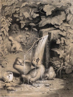 A Little Duckling - Original Lithograph - Late 19th Century