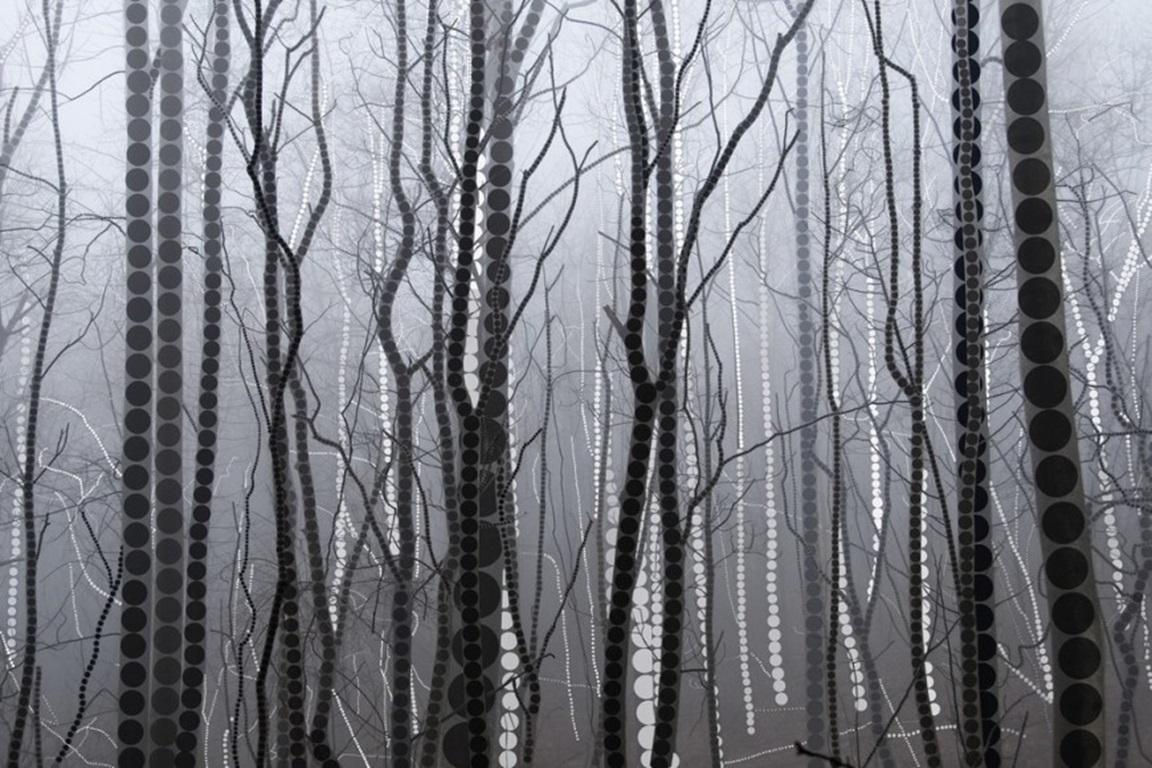 Unknown Landscape Print - A Season of Litanies Series: Forest of Grey, Print by Lisa Stefanelli, 2013