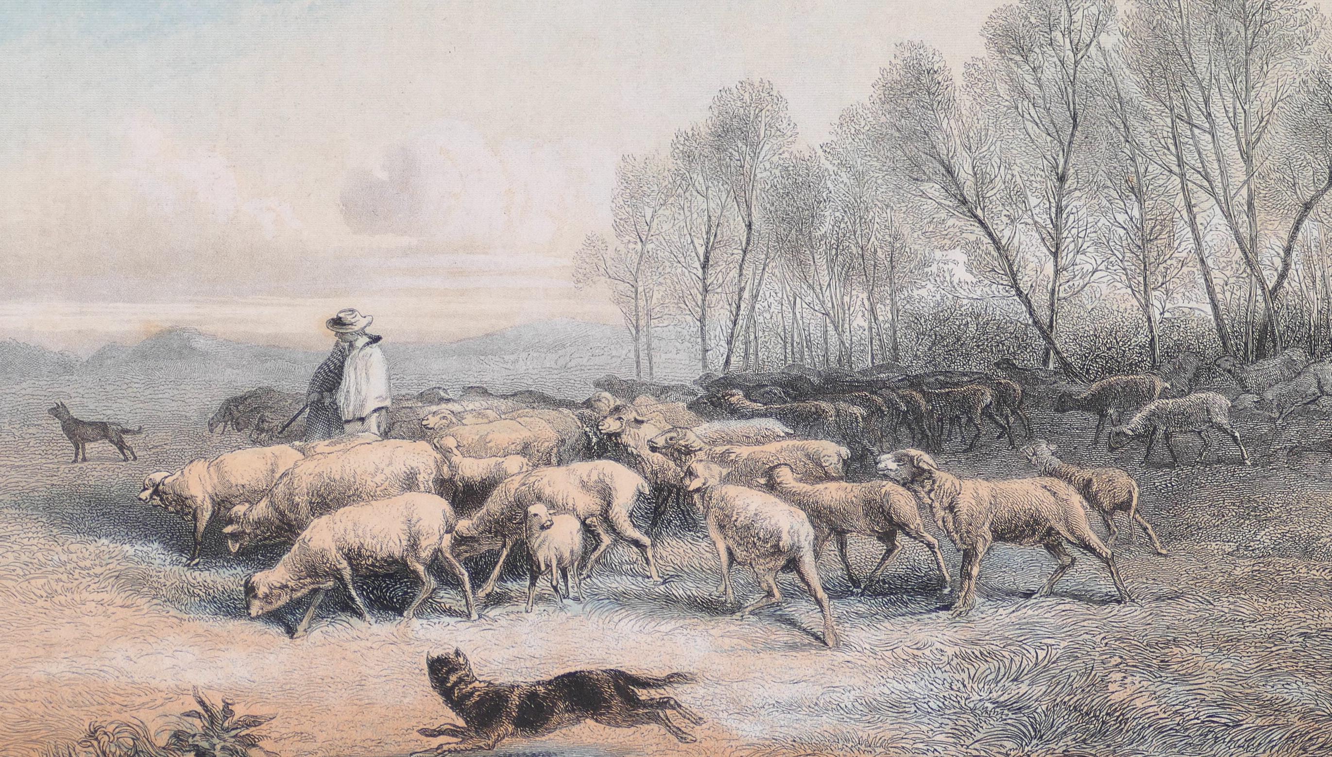 A Shepherd with his Sheeps - Original Lithograph - Late 19th Century - Print by Unknown