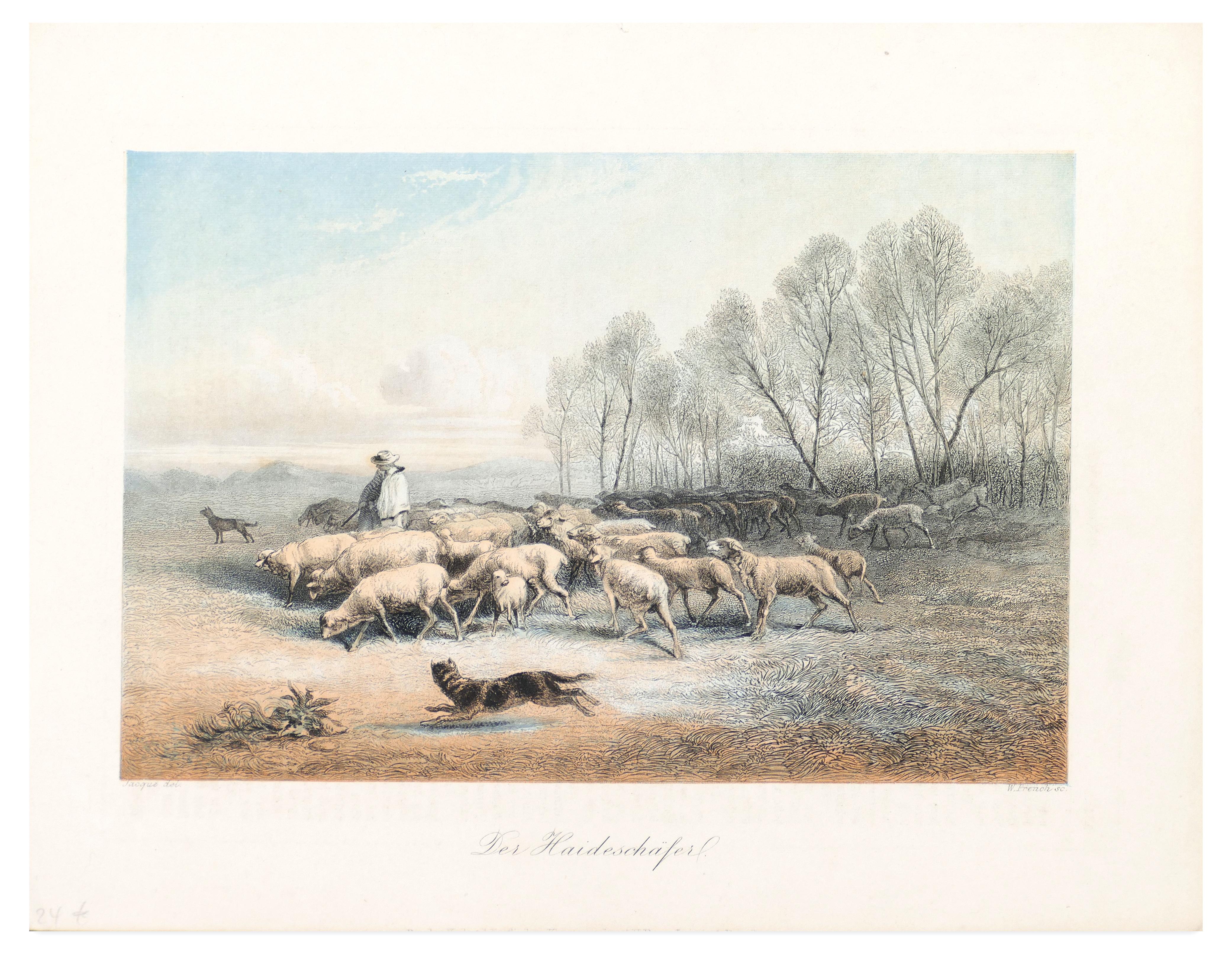 Unknown Figurative Print - A Shepherd with his Sheeps - Original Lithograph - Late 19th Century